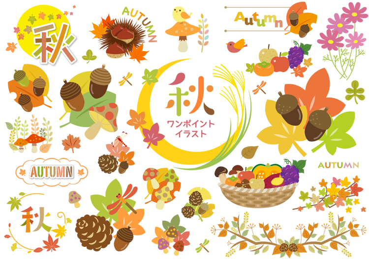 2025年11月のイメージ